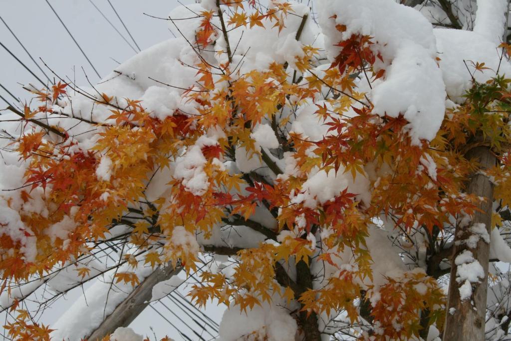 Akakura Wakui Hotel Myoko Esterno foto